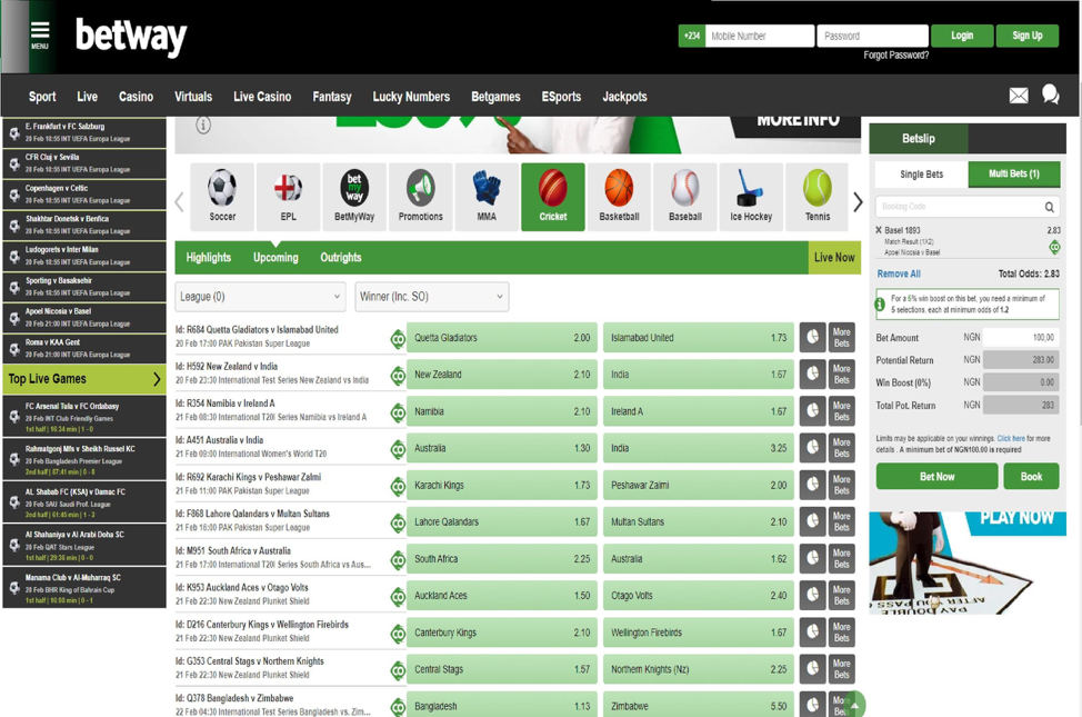 When betting on cricket, it is important to take into account the weather and field features. 